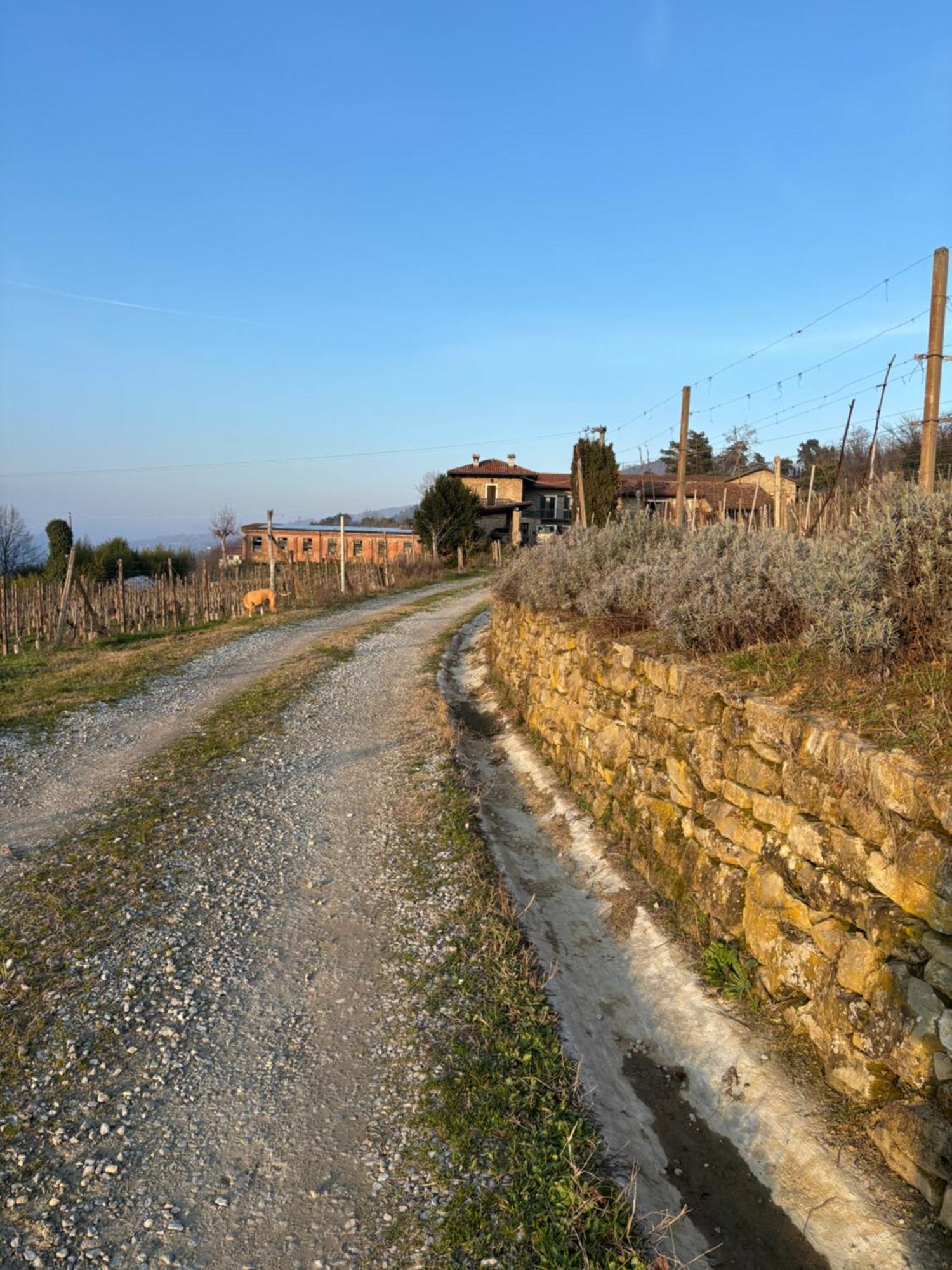 Agriturismo Tenuta San Giuseppe Cossano Belbo Eksteriør billede