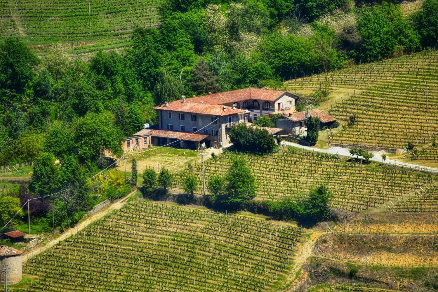 Agriturismo Tenuta San Giuseppe Cossano Belbo Eksteriør billede