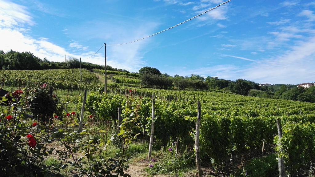 Agriturismo Tenuta San Giuseppe Cossano Belbo Eksteriør billede
